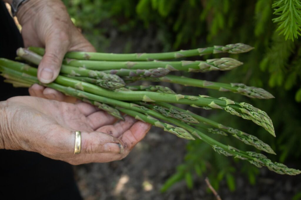 know about green asparagus
